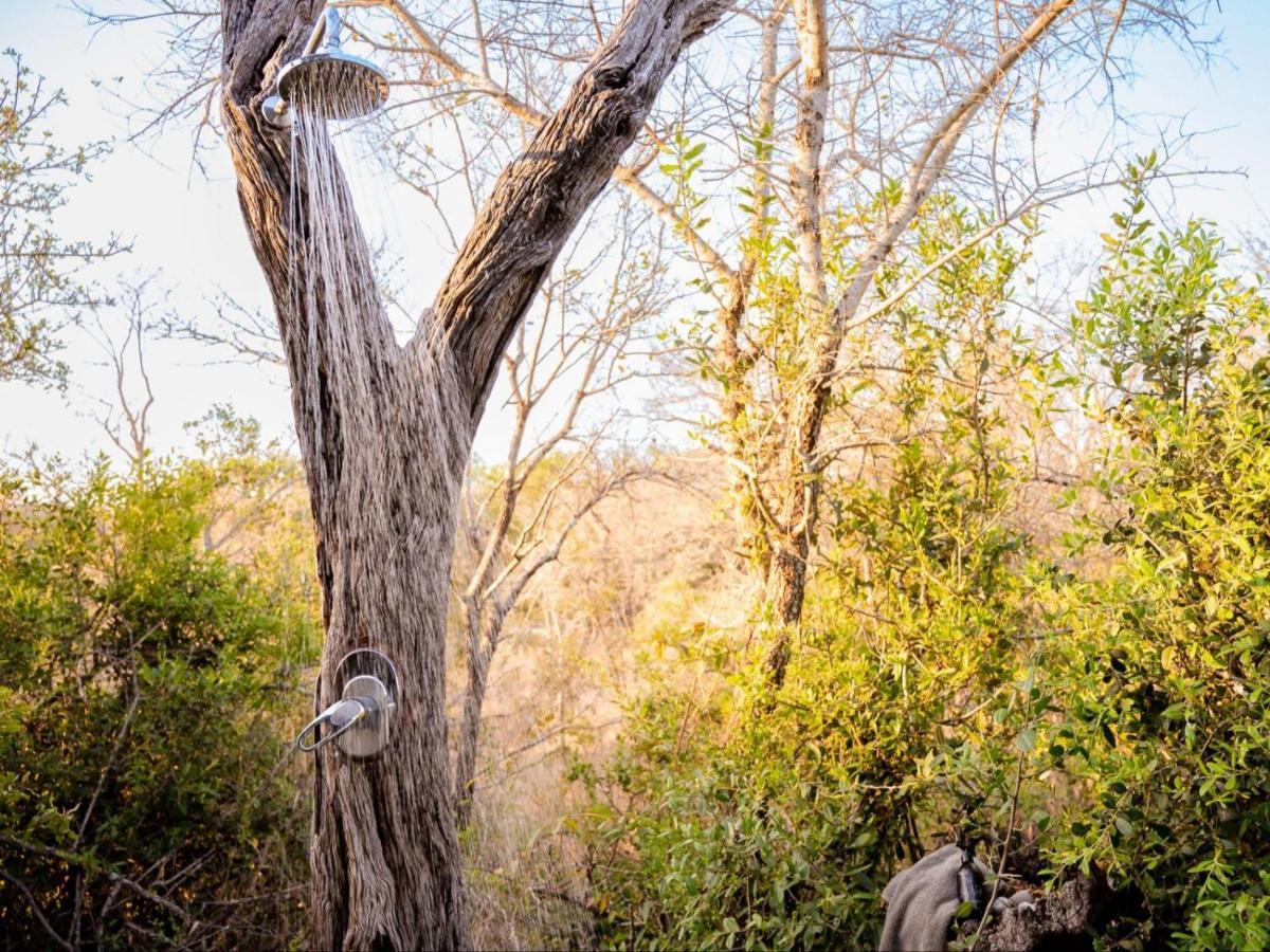 Shimungwe Lodge, Thornybush Game Reserve Hoedspruit Exterior foto